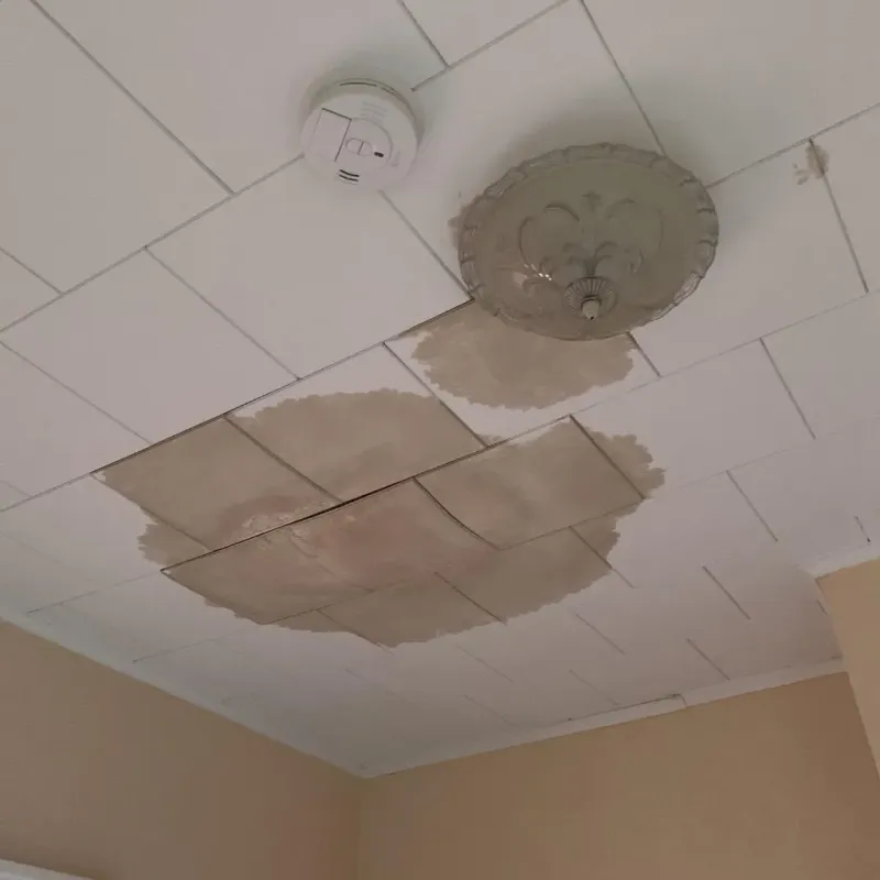 Ceiling Water Damage Repair in Thomaston, CT